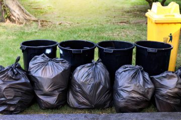 Yard Waste Removal in Balm
